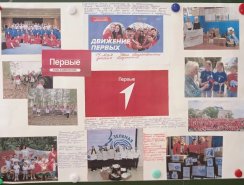 img (7)